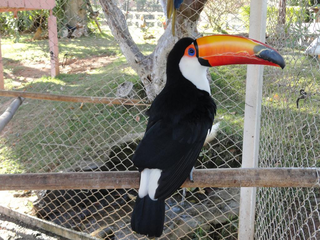 Hotel Fazenda Floresta Do Lago Socorro  Εξωτερικό φωτογραφία